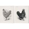 Vintage Farm Life by Wild Apple Portfolio 12" x 15" Canvas Wall Art (Set of 2)